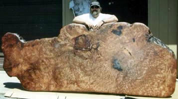 largeslab
